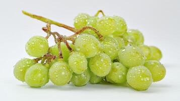 Closeup of a Juicy Green Grape Cluster with Water Droplets on a White Background photo