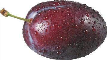 Closeup of a Juicy Purple Plum with Water Droplets on White Background photo