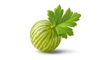 Closeup of a Single Green Gooseberry with Leaf on White Background photo