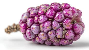 Closeup of a Ripe Purple Blackberry Cluster on White Background photo