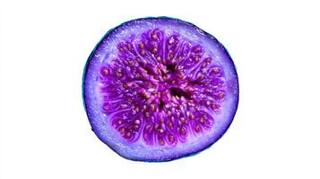Closeup of a Sliced Vibrant Purple Fig on White Background photo