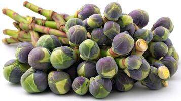 Closeup of Fresh Purple and Green Brussels Sprouts on White Background photo