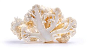Closeup of Fresh White Cauliflower Isolated on White Background photo