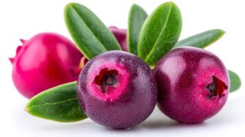 Closeup of Juicy Purple and Red Huckleberries with Green Leaves on White Background photo