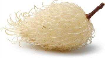 Closeup of Ripe White Rambutan Isolated on White Background photo