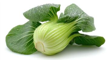 Crisp Green Bok Choy Isolated on White Background photo