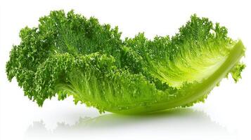 Crisp Green Iceberg Lettuce Leaf Isolated on White Background photo