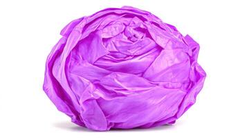 Crisp Purple Brussels Sprout Closeup on White Background photo