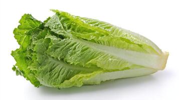 Crisp Green Romaine Lettuce on White Background photo