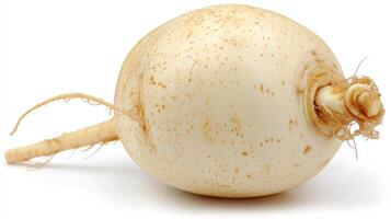 a Crisp White Turnip Isolated on White Background photo