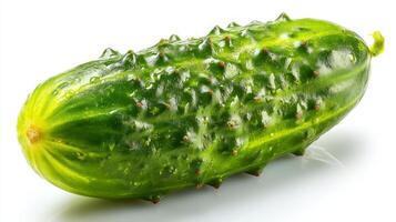 Green Cucumber Isolated on White Background photo