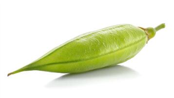 Fresh Green Okra Vegetable Isolated on White Background photo