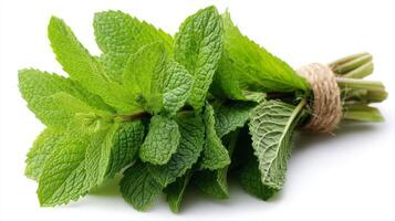 Green Mint Bunch Isolated on White Background photo