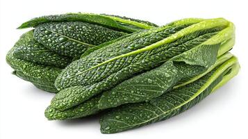 Fresh Green Mustard Greens Isolated on White Background photo