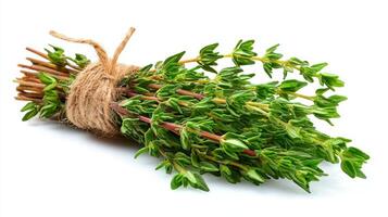 Fresh Green Thyme Sprig Bundle Tied with Twine Isolated on White Background photo