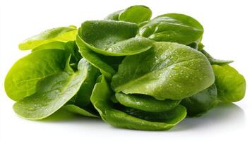 Fresh Green Watercress Leaves Isolated on White Background photo