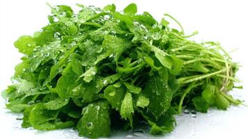 a Fresh Green Watercress Bunch Isolated on White Background photo
