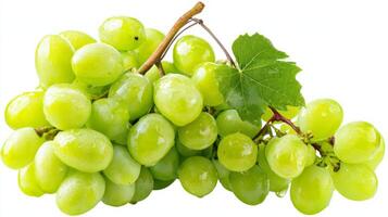 Juicy Green Grape Cluster on White Background photo