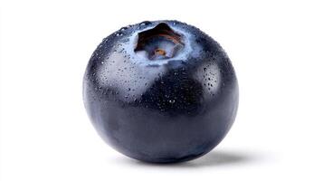 A Plump Blue Blueberry Isolated on White Background photo