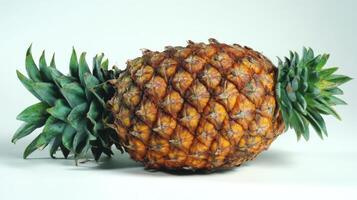A big Juicy Yellow Pineapple Isolated on White Background photo