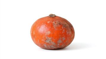Orange Kabocha Squash Isolated on White Background photo