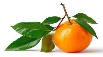 Close up of Mandarin Orange with Green Leaves on White Background photo