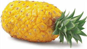 A Juicy Yellow Pineapple Isolated on White Background photo