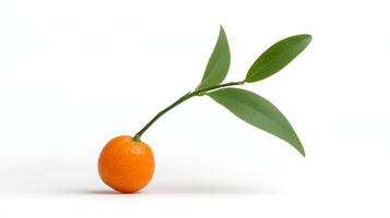 A Orange Kumquat with Green Leaves on White Background photo