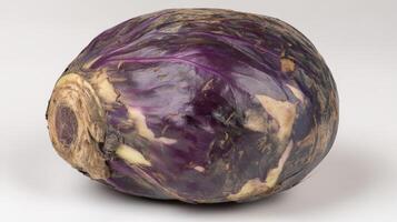 Close up of Purple Cabbage Isolated on White Background photo