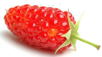 Ripe Red Boysenberry Isolated on White Background photo