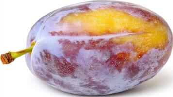 The Purple Prune Isolated on White Background photo