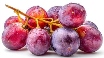 Ripe Red and Purple Grape Cluster on White Background photo