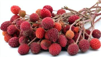 Ripe Red Boysenberries Cluster on White Background photo