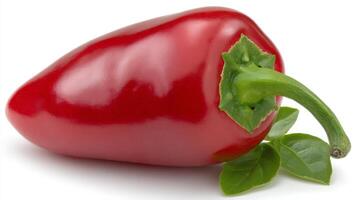 Close up of Red Jalapeno Pepper Isolated on White Background photo