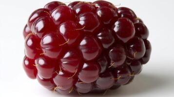 Ripe Red Boysenberry Closeup Isolated on White Background photo
