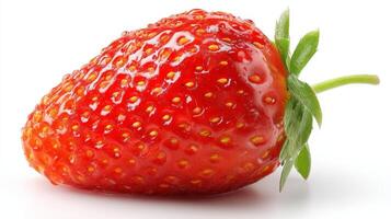 1 Red Strawberry Isolated on White Background photo