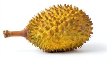 Ripe Yellow Durian Fruit Isolated on White Background photo