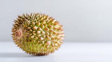 Ripe White Durian on White Background Close Up photo