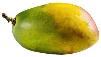 Ripe Mango Isolated on White Background photo