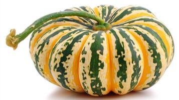 Ripe Striped Kabocha Squash on White Background photo