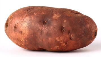 Single Brown Potato Isolated on White Background photo