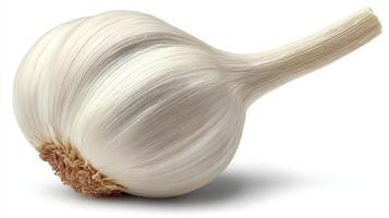 A Fresh White Garlic Clove on White Background photo