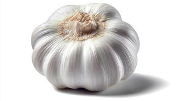 Fresh White Garlic Clove Isolated on White Background photo