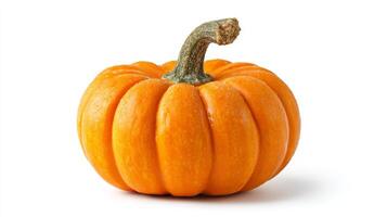 Small Orange Pumpkin on White Background photo