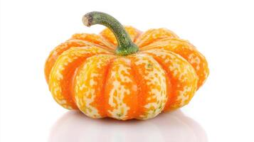 Small Orange and Cream Speckled Pumpkin on White Background photo