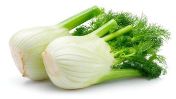 Two Fresh White Fennel Bulbs with Green Stalks Isolated on White Background photo