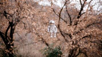 Spotted Toy Astronaut Hanging from Tree Branch in Autumnal Forest photo