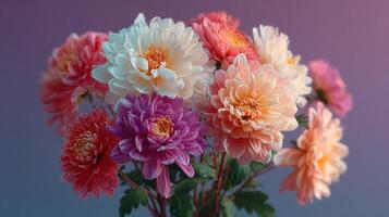 Colorful bouquet of various chrysanthemums displayed against a soft gradient background in a creative artistic arrangement photo