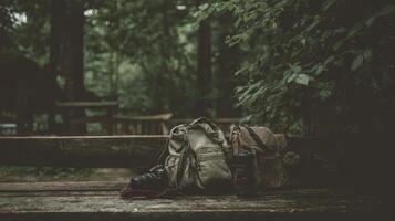 Camera Gear on Rustic Wooden Bench in Forest Setting photo