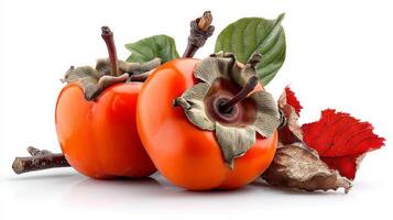 Two Ripe Orange Persimmons with Green and Red Leaves on White Background photo